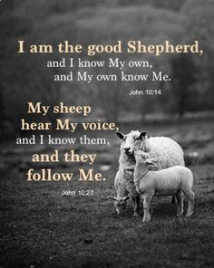 Learning To Hear Our Shepherd's Voice: Jesus, The Good Shepherd - John 10: 11-18 - Heartspoken